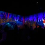 Projection du film Lafontaine autour des fables dans la salle de cinéma immersive de Tadamm